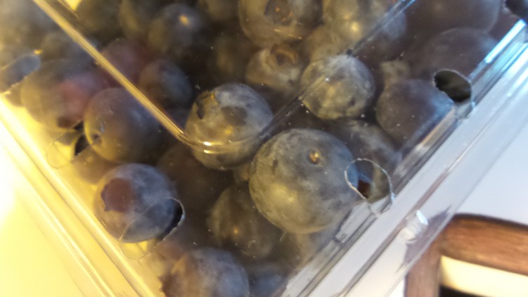 fresh blueberries.jpg
